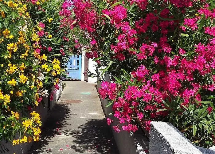 Les Amandines Vakantiehuis Agde